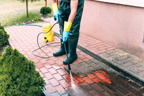 Best Fence Cleaning and Maintenance in Wharton, TX
