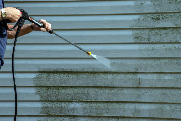 Best Brick and Stone Cleaning in Wharton, TX
