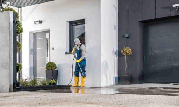 Best Window and Screen Pressure Cleaning in Wharton, TX